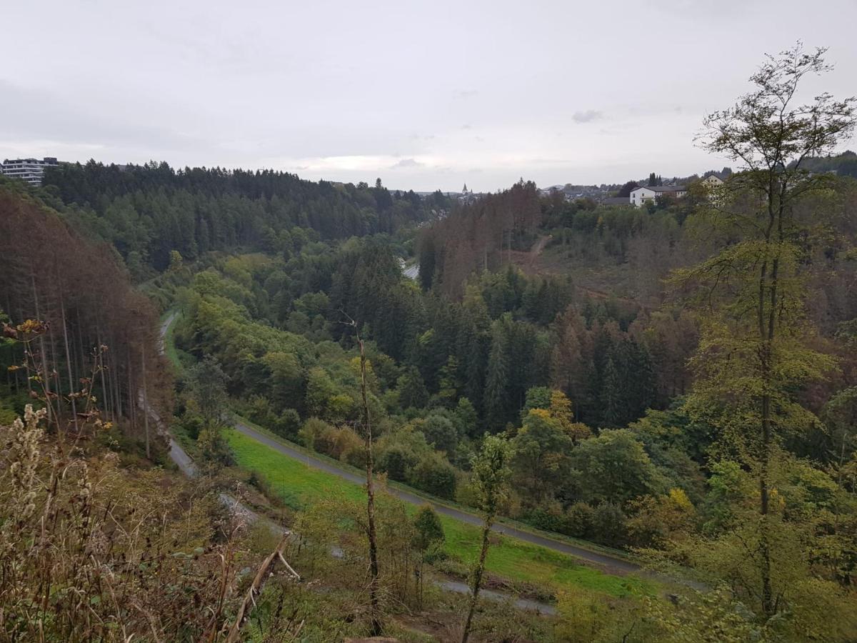 Altastenberger Lodge Winterberg Dış mekan fotoğraf